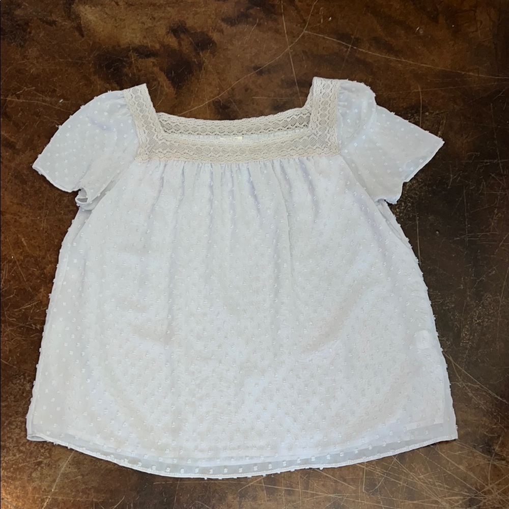 Women’s J. Crew lined Blouse size 8 gray silver dots with lace